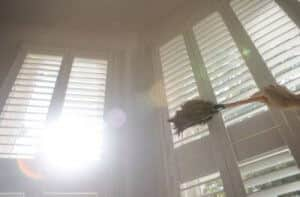 Benefits of shutters 5